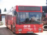 autobuze_006.jpg